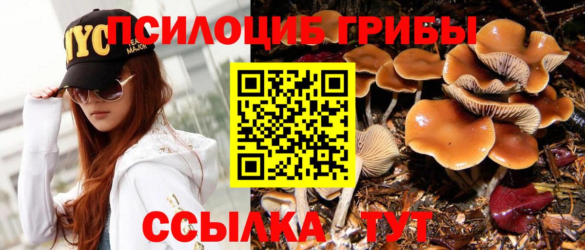 Псилоцибиновые грибы мухоморы  Вход с VPN  Чебоксары  Галлюциногенные грибы мицелий 