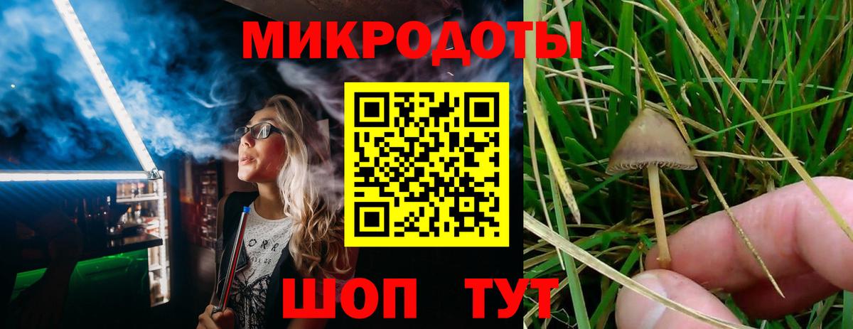 Галлюциногенные грибы ЛСД Чебоксары